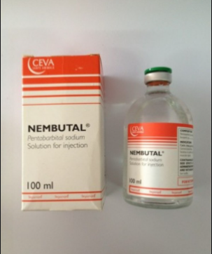 Nembutal pentobarbital solution